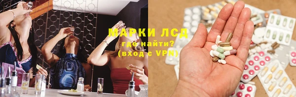 PSILOCYBIN Лабытнанги