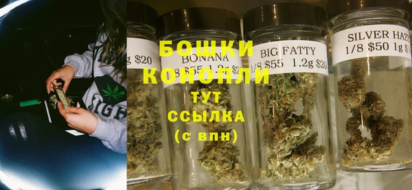 PSILOCYBIN Лабытнанги