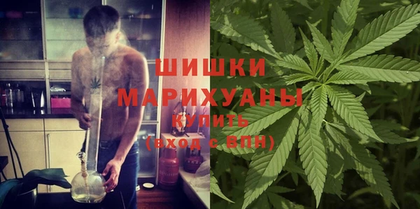 PSILOCYBIN Лабытнанги