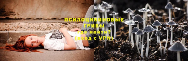 PSILOCYBIN Лабытнанги