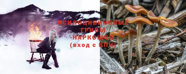 мескалин Лагань