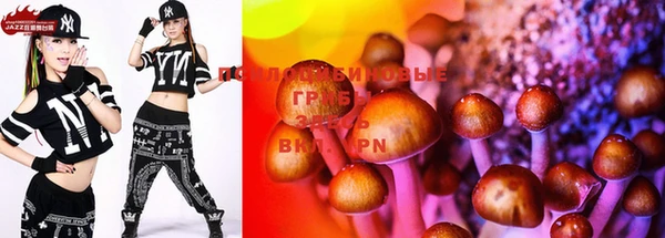 PSILOCYBIN Лабытнанги