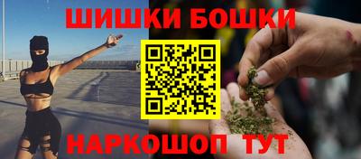 индика Гатчина