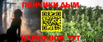 индика Гатчина