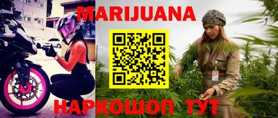 индика Гатчина