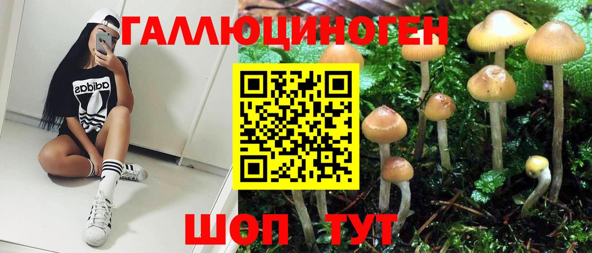 Лабытнанги  Галлюциногенные грибы Cubensis  Вход с VPN 